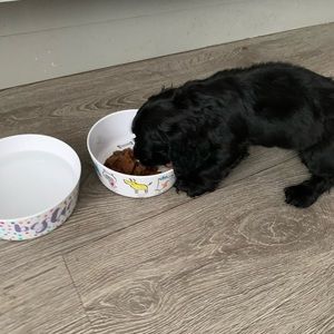 Meet your Posher, William